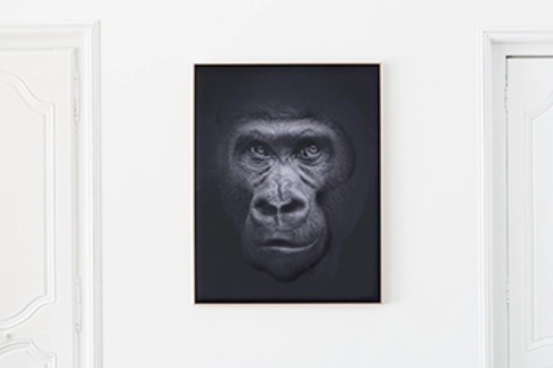 Akustikbild »Quieto«, Motiv "Affe"