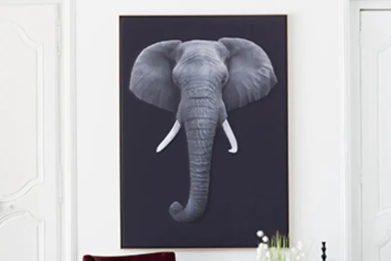 Akustikbild »Quieto«, Motiv "Elefant"