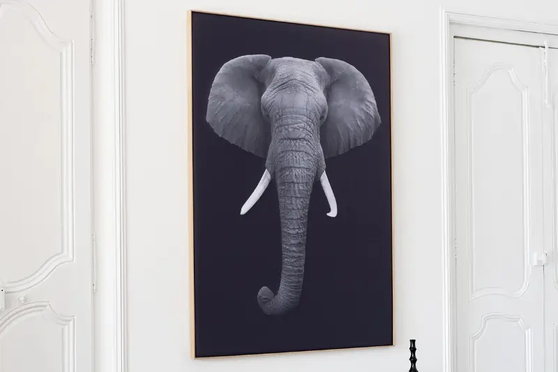 Akustikbild »Quieto«, Motiv "Elefant" Bild 2
