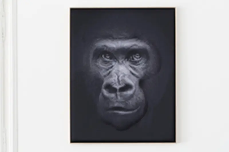 Akustikbild »Quieto«, Motiv "Affe"
