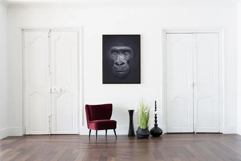 Akustikbild »Quieto«, Motiv "Affe" 2
