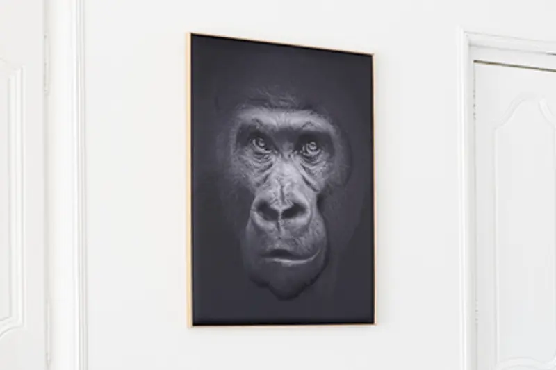Akustikbild »Quieto«, Motiv "Affe" 3