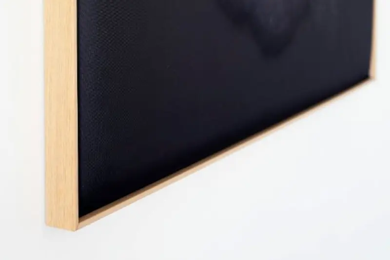 Akustikbild »Quieto«, Motiv "Affe" 4