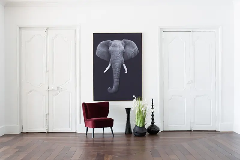 Akustikbild »Quieto«, Motiv "Elefant" 3