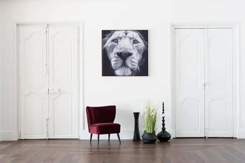 Akustikbild »Quieto«, Motiv "Löwe" 2