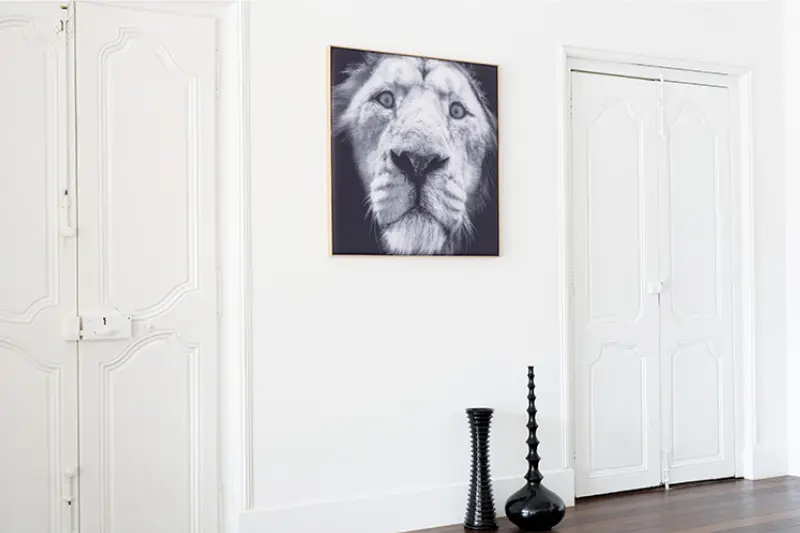 Akustikbild »Quieto«, Motiv "Löwe" 3