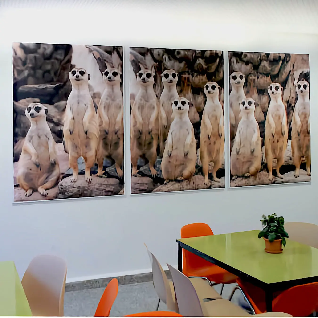 Akustikbild Quieto – optimale Raumakustik für Bildungseinrichtungen Akustikbild Quieto für Schulen – reduziert Nachhall und verbessert Sprachverständlichkeit